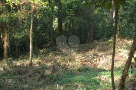 Terreno à venda em Tucuruvi, São Paulo, SP