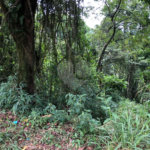 Terreno à venda no condomínio Gleba E1 E2, Mairiporã - SP