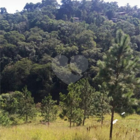 Terreno à venda em Estância Santa Maria do Portão, Atibaia, SP