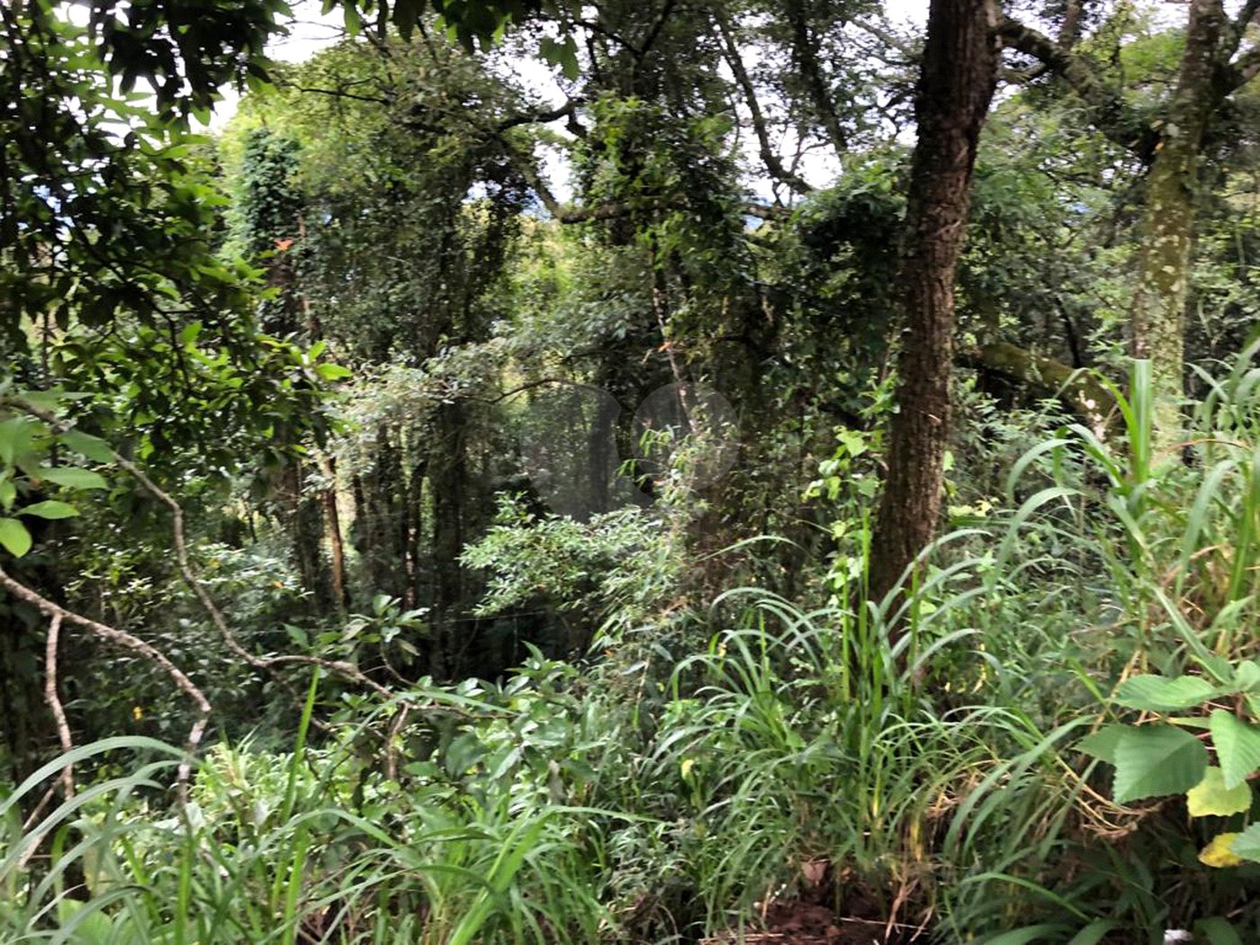 Terreno à venda no condomínio Gleba E2, Mairiporã - SP