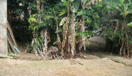 Terreno à venda em Jardim Jussara, São Paulo, SP