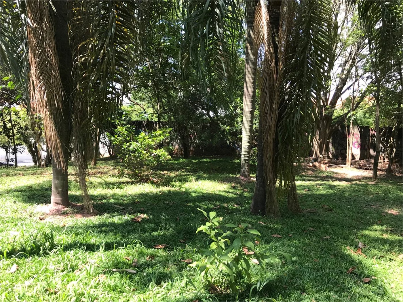 Terreno à venda em Lar São Paulo, São Paulo, SP