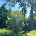 Linda chácara à venda em Itu/SP – conforto, lazer e natureza em um só lugar!