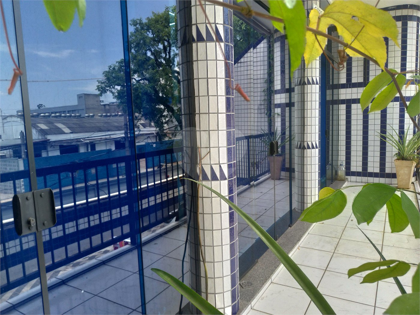 Salão para alugar em Limão, São Paulo, SP