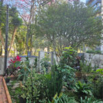 Casa à venda com 5 quartos em Mandaqui, São Paulo, SP