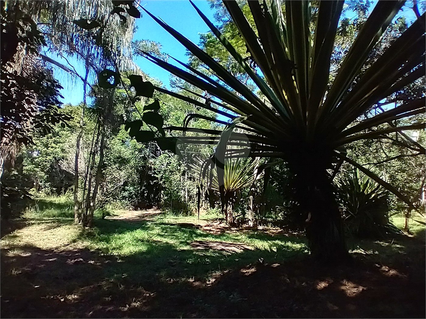 Casa à venda com 1 quarto em Vila Verde, Armação dos Búzios, RJ