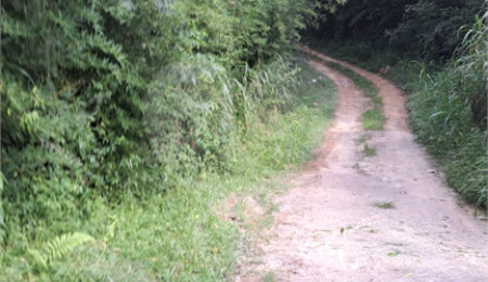 Área de Terra à venda em Terra Preta (terra Preta), Mairiporã, SP