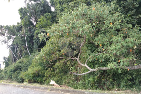 Terreno à venda em Vila Junqueira, Atibaia, SP
