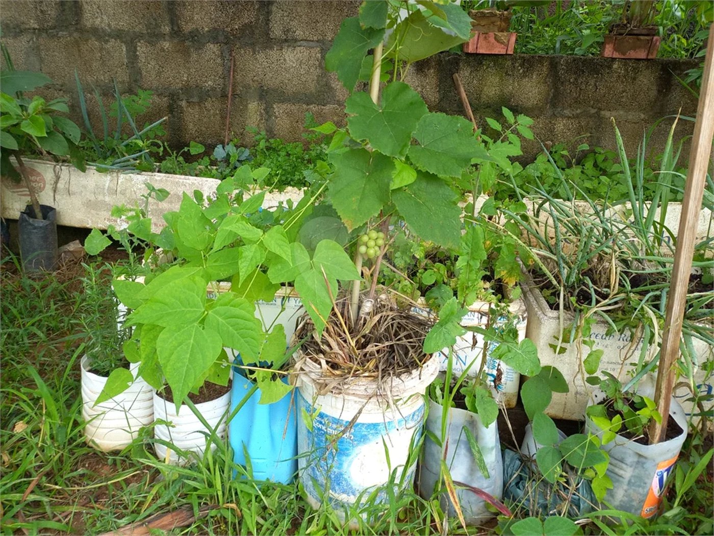 Terreno à venda em Parque dos Cafezais III, Itupeva, SP
