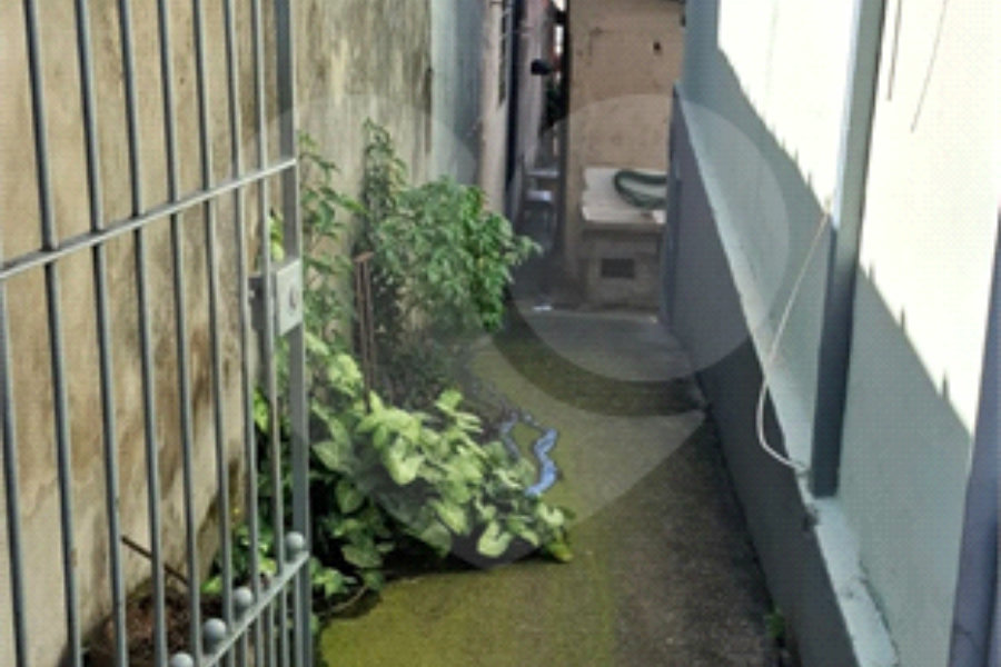 Casa à venda ou para alugar com 2 quartos em Casa Verde Média, São Paulo, SP