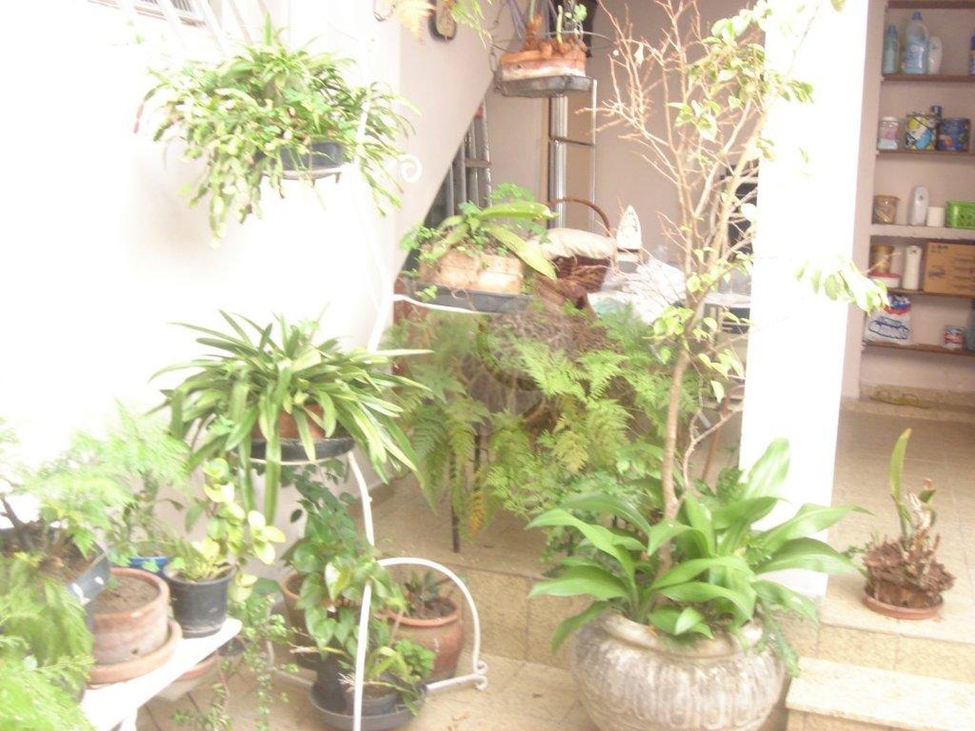 Sobrado à venda com 3 quartos em Casa Verde, São Paulo, SP