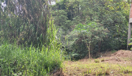 Terreno à venda em Barreiro, Mairiporã, SP