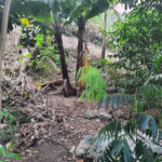 Loteamento à venda em Jardim Amália, São Paulo, SP
