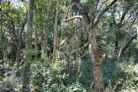 Sítio à venda com 3 quartos, sendo 1 suíte,  em Da Barra, Salto de Pirapora, SP