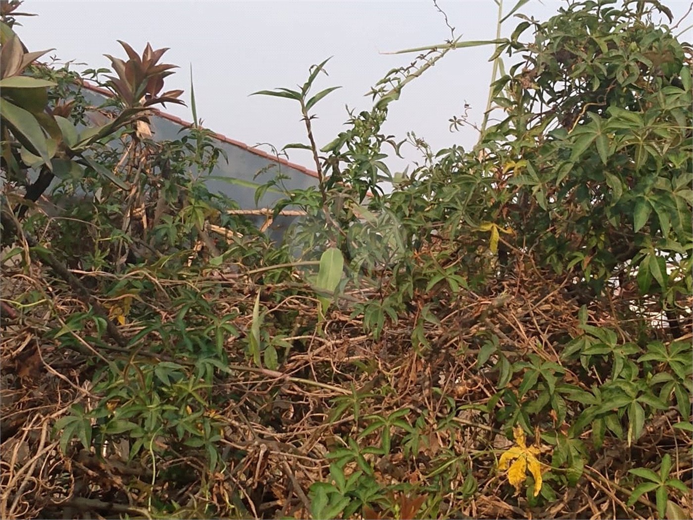 Terreno à venda em Jardim São João (zona Norte), São Paulo, SP