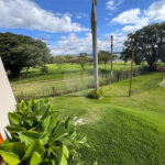 Casa à venda com 6 suítes no condomínio Vila Pinhal, Itirapina - SP