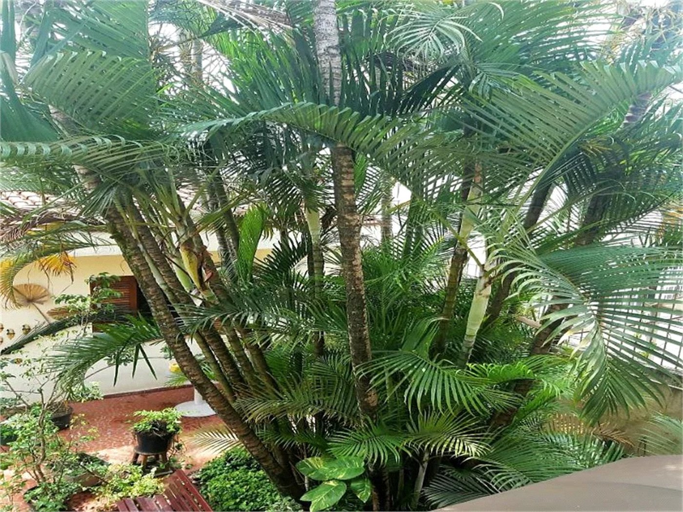 Casa à venda com 3 quartos em Vila Inah, São Paulo, SP
