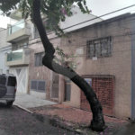 Sobrado à venda com 3 quartos em Bom Retiro, São Paulo, SP