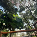 Apartamento à venda com 2 quartos, sendo 1 suíte, em Casa Verde, São Paulo, SP