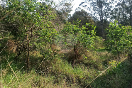 Terreno à venda em Bosque dos Eucalíptos, Atibaia, SP