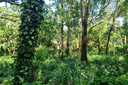 Terreno à venda no condomínio Horto do Ypê, São Paulo - SP