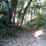 Terreno à venda em Tucuruvi, São Paulo, SP