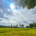 Sítio à venda com 3 quartos em Campo de Boituva, Boituva, SP