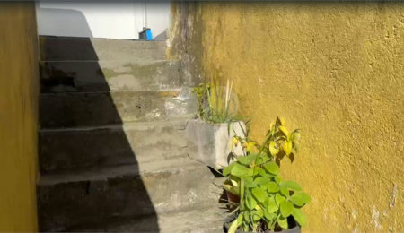 Sobrado à venda com 5 quartos em Vila Marari, São Paulo, SP