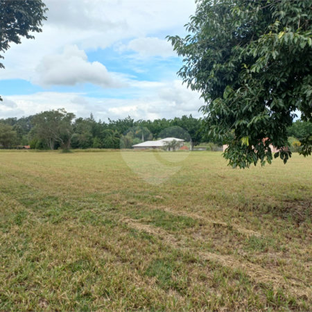 Loteamento Residencial no Condomínio Vila Pinhal do Broa.