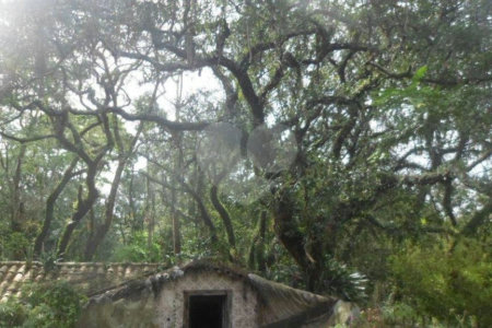 Terreno à venda com 1 suíte no condomínio Chácara Flora, São Paulo - SP