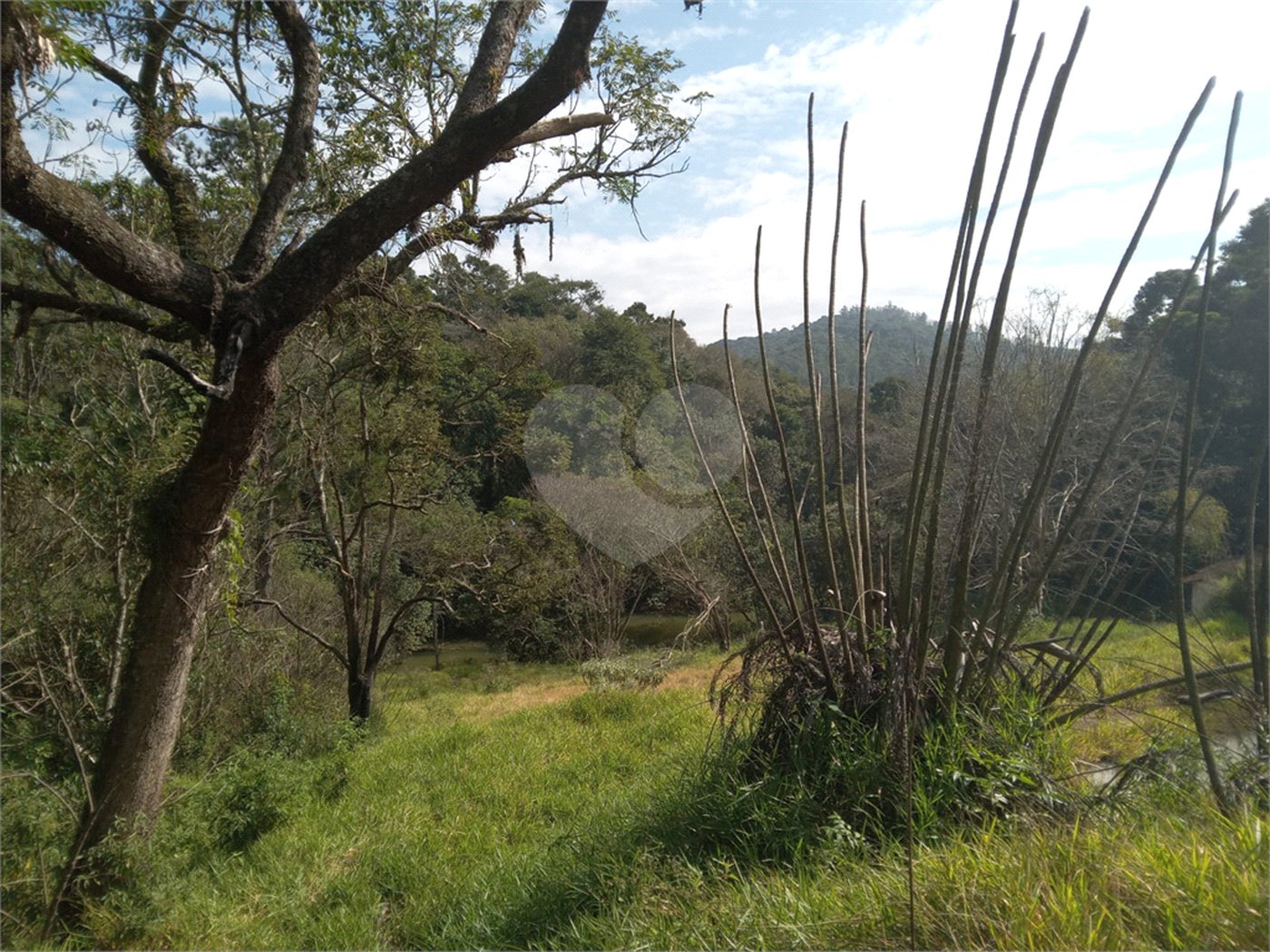 Sítio à venda em Chácara São João, Campo Limpo Paulista, SP