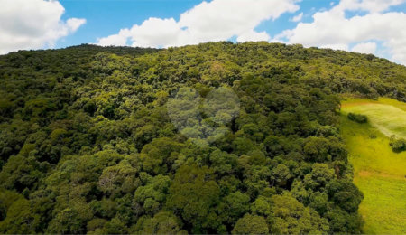 Terreno à venda em Gabriel Piza, São Roque, SP