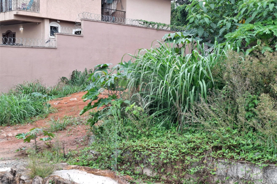 Terreno à venda em Vila Albertina, São Paulo, SP