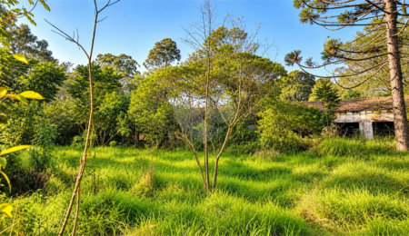 Terreno à venda em Interlagos, São Paulo, SP
