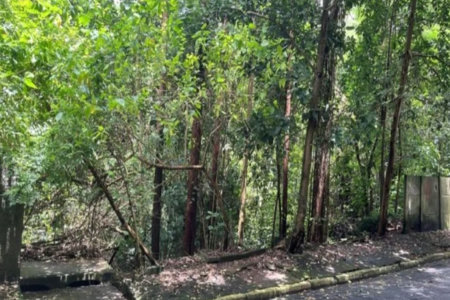 Terreno à venda em Jardim Ampliação, São Paulo, SP