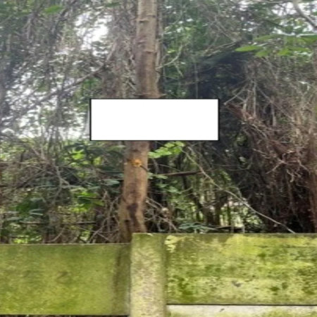 Terreno à venda em Jardim Ampliação, São Paulo, SP