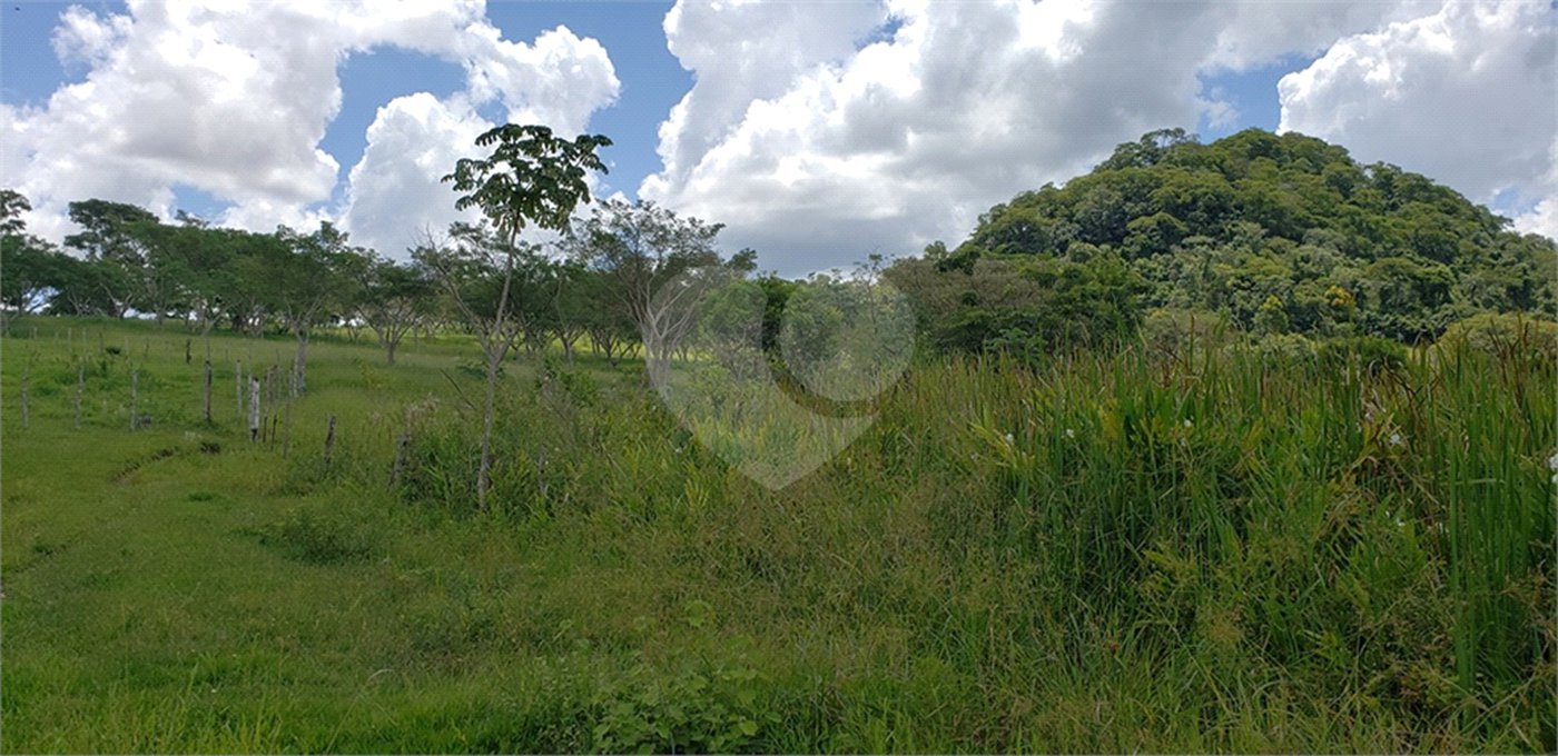 Sitio para venda.