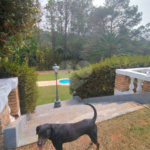 Sítio à venda, 504m² - Ponte Alta Atibaia 48mil² Ref: 1013670