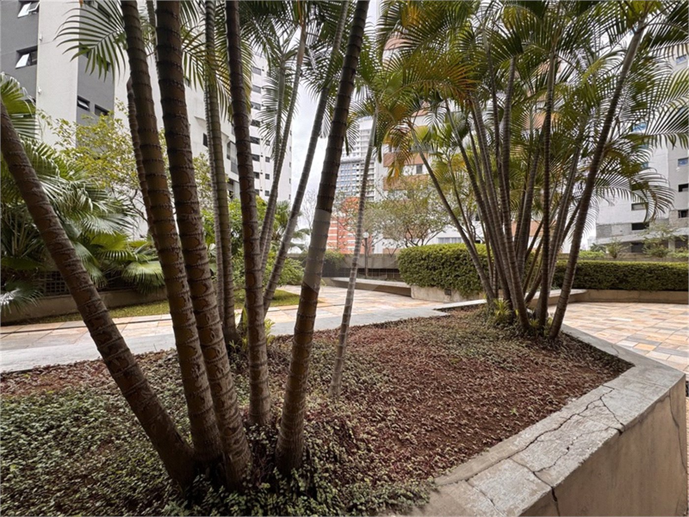 Apartamento Moema – 3 Dormitórios - Ar Condicionado - 80 mts², 2 Vagas
