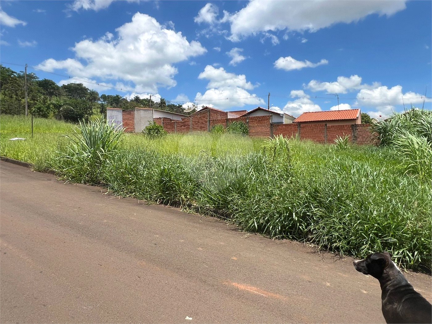 Terreno à Venda no Residencial Bosque dos Tamanduás – Descalvado/SP