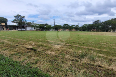Loteamento Residencial no Condomínio Vila Pinhal do Broa