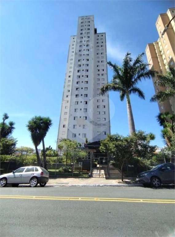 Apartamento de 3 quartos à venda na Vila Matilde com garagem e laser completo