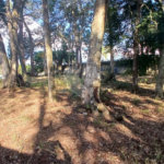 Terreno de 2000m² à Venda no Jardim Estância Brasil