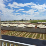 Apartamento novo para venda no Condomínio Residencial Vila das Orquídeas.