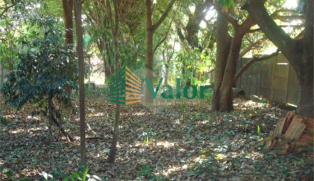 Terreno à venda em Vila Costa do Sol, São Carlos, SP