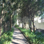 Apartamento 2 quartos - Campo Belo.