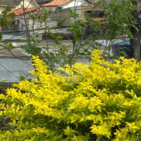 Terreno à Venda na Vila Fiuza – Excelente Oportunidade para Investidores e Construtores