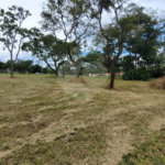 Loteamento Residencial no Condomínio Vila Pinhal do Broa.