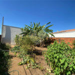 Casa e sala comercial na Vila Jacobucci