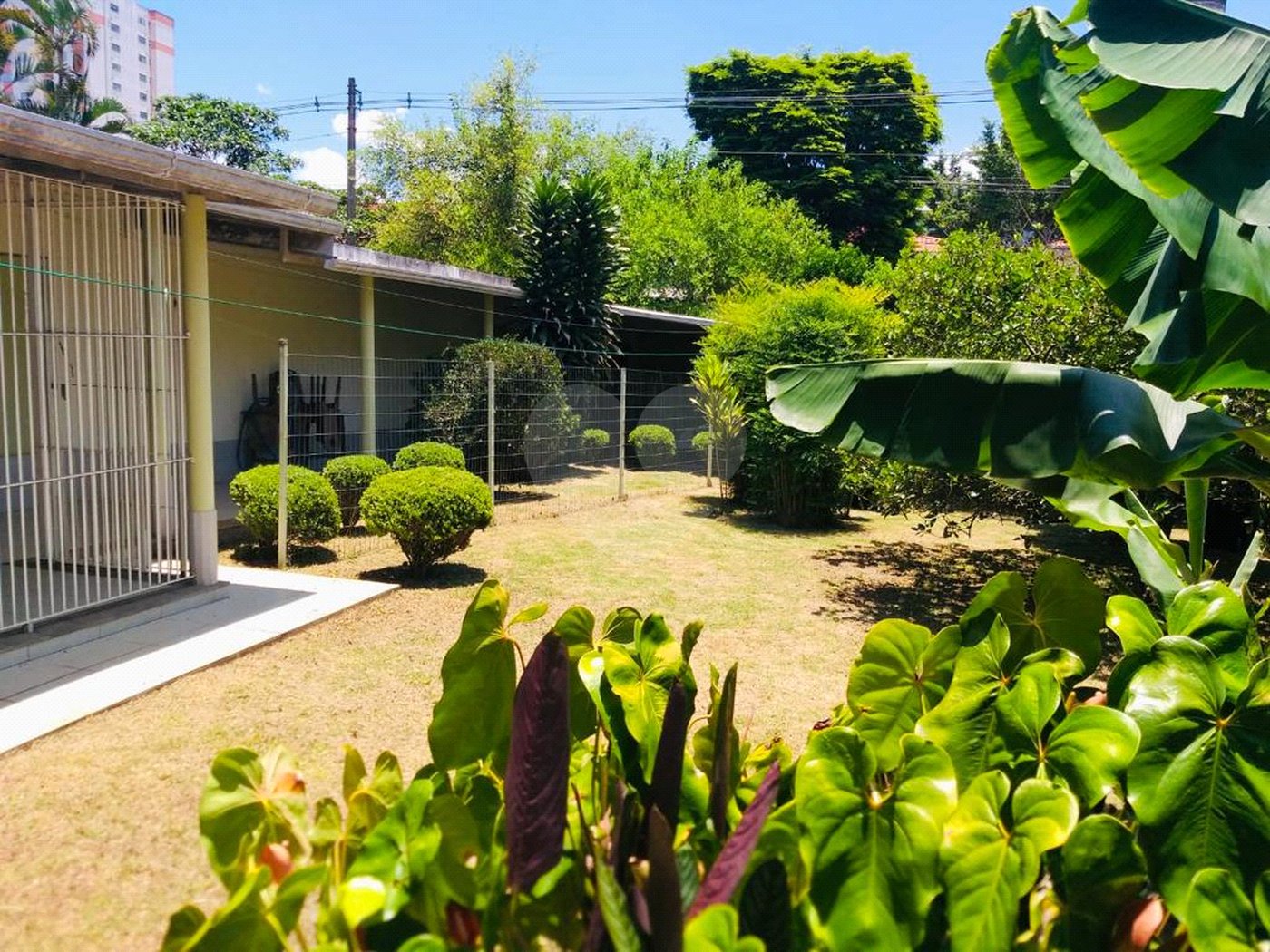 Terreno à venda com 1 quarto em Campo Grande, São Paulo, SP
